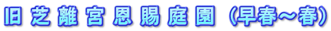 旧 芝 離 宮 恩 賜 庭 園  (早春～春）
