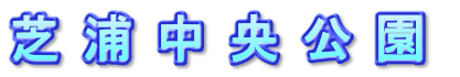 芝 浦 中 央 公 園 